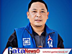 Pilkada Lombok Tengah, DPP Demokrat Usulkan Kader Internal