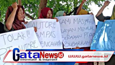 Sekaroh, Antara Mutiara dan Bisnis