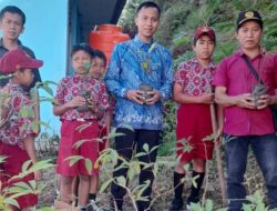 GAMKI Tana Toraja Bersama 4 UPT SD dan SMP Menggelar Penanaman Pohon Peringati Hari Lingkungan Hidup Sedunia