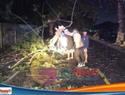 Sigap di Tengah Malam, Polsek Narmada Evakuasi Pohon Tumbang Demi Keselamatan Warga