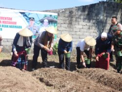 Polsek Narmada Kawal Penanaman Jagung Serentak di Ponpes Darul Hikmah NWDI