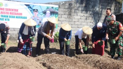 Polsek Narmada Kawal Penanaman Jagung Serentak di Ponpes Darul Hikmah NWDI