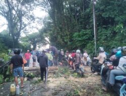 Sat Lantas Polres Luwu Utara Sigap Evakuasi Pohon Tumbang di Jalan Trans Sulawesi