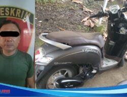 Gondol Scoopy dengan Aksi Akal-akalan, Pria ini Akhirnya Diringkus Polisi