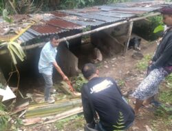 Pria 54 Tahun Tewas Tersengat Listrik Saat Tebang Pisang