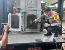 Polda NTB Bakar Ratusan Barang Bukti Narkoba di Akhir Tahun 2025