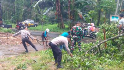 Polisi dan Warga Gercep Tangani Dua Lokasi Terdampak Pohon Tumbang di Gunungsari