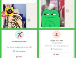 Indria : Tulisan Tersebut Bukan Ditujukan Untukenyerang Pemerintahan