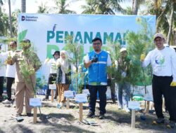 PLN Tanam 2.500 Pohon di Pesisir Pantai Lombok Barat