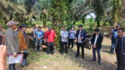 Sengketa Lahan Plasma di Teluk Tenggirik, Petani Nilai Laporan Tak Berdasar