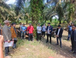 Sengketa Lahan Plasma di Teluk Tenggirik, Petani Nilai Laporan Tak Berdasar