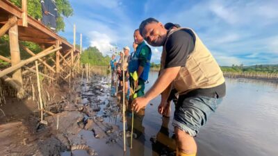 Penanaman Mangrove PLN NTB di Lombok Timur