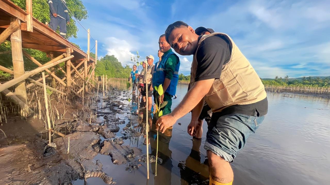Penanaman Mangrove PLN NTB di Lombok Timur