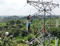 PLN UIW NTB Intensifkan Pemeliharaan Preventif di Lombok Utara
