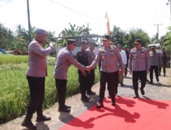 Polda NTB Panen Raya Raya Jagung Serentak, Ikuti Ground Breaking Gudang Pangan Dan Launching 166 SPPG Polri