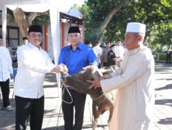 Semangat Berbagi Idul Adha1447 H, 216 Sapi Dan 45 Kambing Dikurbankan Polda NTB