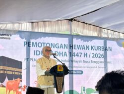 PLN NTB Tebar Kebahagiaan Iduladha untuk Ribuan Warga