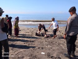 Heboh, Warga Labuan Haji Digegerkan Dengan Penemuan Mayat Perempuan Asal Tanjung Luar