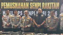Negara Hadir Berantas Senpi Ilegal, Polda Sumsel Musnahkan 397 Senjata Api Hasil Ops Senpi Musi 2026
