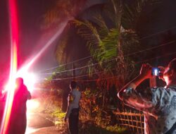 Bhabinkamtibmas Bersama Damkar Padamkan Kebakaran Pohon Kelapa di Lingsar