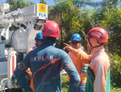 PLN UP3 Sumbawa Perkuat Keandalan Jaringan Tanpa Padam