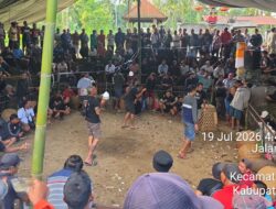 Arena Tajen Bangli Disorot, Publik Pertanyakan Pengawasan Aparat