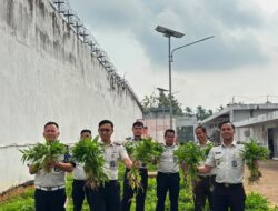 Panen Kangkung Capai 72,2 Kilogram, Rutan Kelas I Palembang Perkuat Program Ketahanan Pangan Nasional