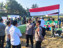 Polsek Lingsar Kawal Gerakan Tanam Serempak dan Gencarkan Cooling System Jelang Pilkades Serentak