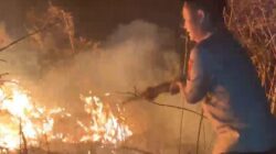 40 Hektare TNGR Terbakar, Kapolres Lotim Turun Tengah Malam Perangi Kobaran Api
