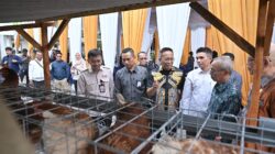 Dukung Program Desa Berdaya NTB, Bank NTB Syariah Salurkan Bantuan Budidaya Ayam Petelur untuk Masyarakat Desa Lendang Nangka Utara
