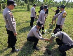 Gerakan Indonesia Asri, Polsek Lingsar Tanam Trembesi hingga Matoa Jelang HUT RI Ke-81