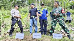 Gerakan Indonesia Asri, Tiga Pilar Gunungsari Tanam Pohon Serentak di 16 Desa