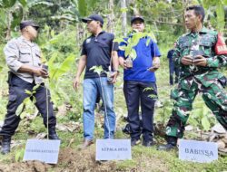 Gerakan Indonesia Asri, Tiga Pilar Gunungsari Tanam Pohon Serentak di 16 Desa