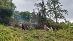 Si-Jago Merah Kembali Ngamuk di Gunungsari, Bukit Baleku Jadi Sasaran