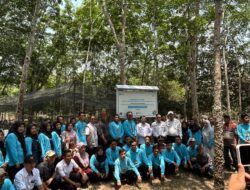 PLN Hadir di Tengah Masyarakat Adat Tempirai Selatan Melalui Program EmPOWER