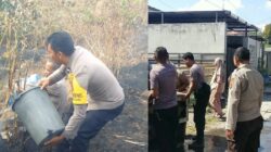 Sehari 2 Kebakaran di Gunungsari, Rumah dan Lahan Dilalap Api