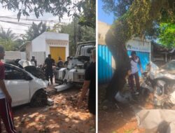 Mobil Ayla Ringsek Hantam Pohon di Jagapati, Polsek Gunungsari Gerak Cepat Cek TKP