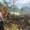 Rumput Gajah Mendadak Terbakar di Terara Api Nyaris Merembet ke Lahan Warga