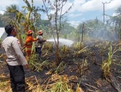 Rumput Gajah Mendadak Terbakar di Terara Api Nyaris Merembet ke Lahan Warga