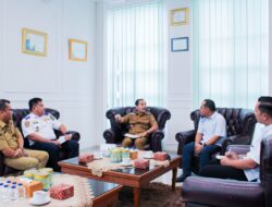 TERIMA AUDIENSI PLN, WALI KOTA TEBING TINGGI MINTA PERCEPATAN LISTRIK KOLAM RENANG PEMKO DAN PENERANGAN JALAN