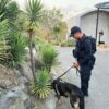Anjing Pelacak Polda NTB Sterilisasi Tiga Zona MotoGP Mandalika