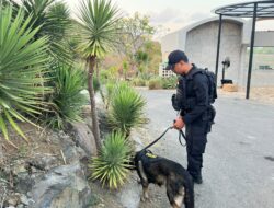 Anjing Pelacak Polda NTB Sterilisasi Tiga Zona MotoGP Mandalika